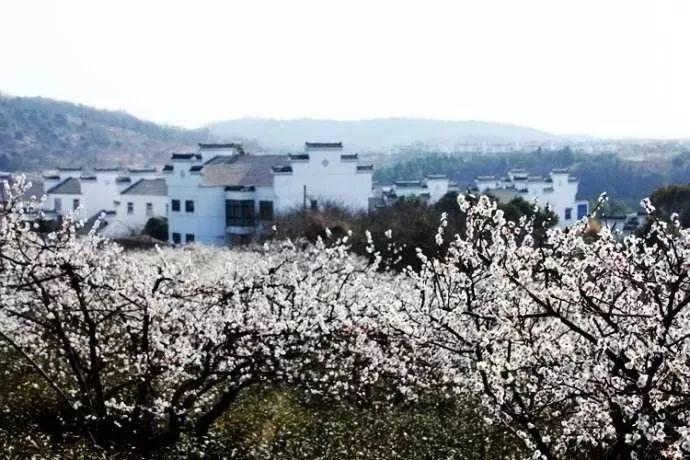 探索谁会看痣 我左边锁骨的痣是什么意思?,解锁你的知识星球之旅